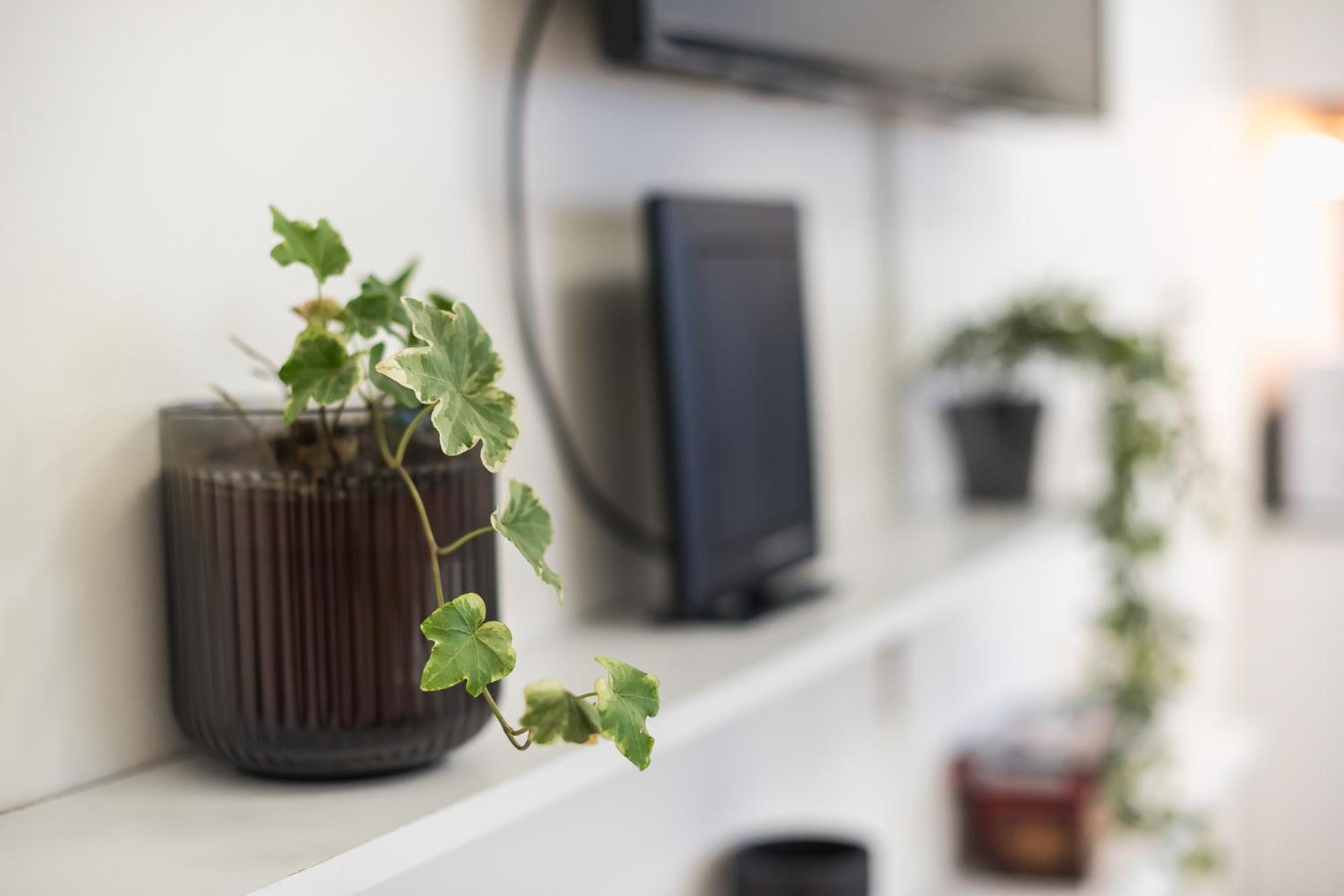 Modern Apartment 200M From Acropolis 100Mbps Netflix Athènes Extérieur photo